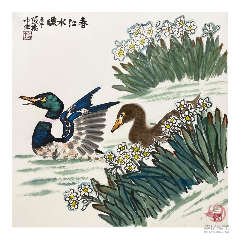 张扬4平尺花鸟作品《春江水暖》