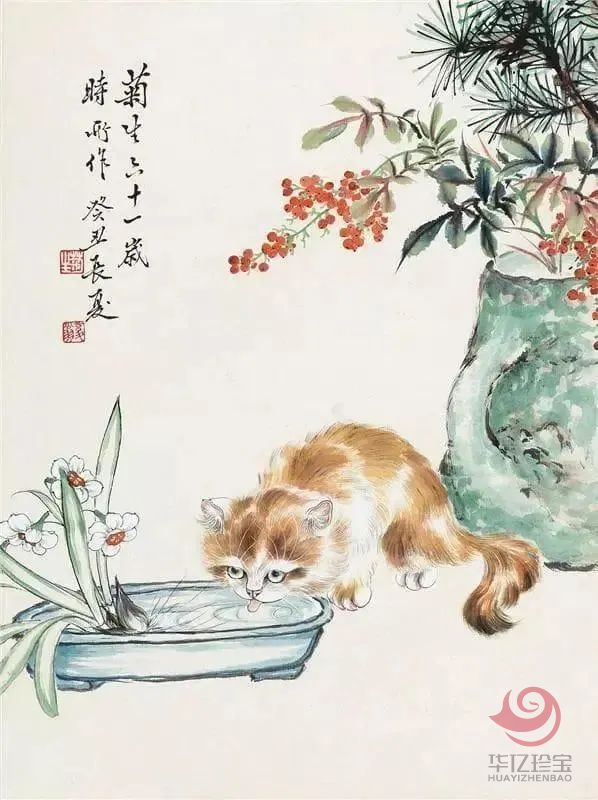 “猫王”书画名家孙菊生《猫1》