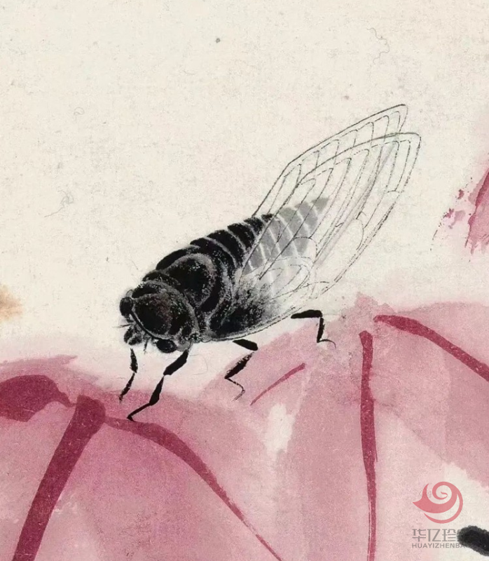 1749562816600861.png 图片.png