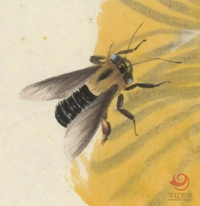 1749562850456312.png 图片.png